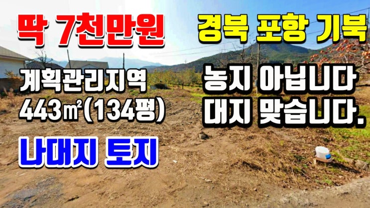 포항전원주택 지을 나대지 땅-134평 7천만원-기북면 대곡리