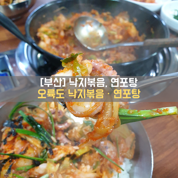 [연산동] 식사_부산 낙곱새, 연포탕 맛집 '오륙도 낙지볶음·연포탕'
