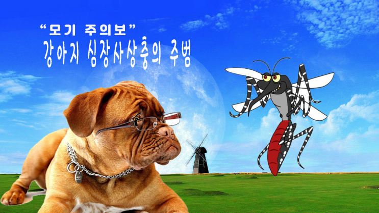  심장사상충약 어떤 걸 먹여야 할까요? 1부 - 강아지를 위한 심장사상충 감염에서 예방까지!