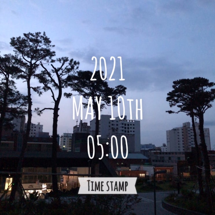  나만의 알찬 하루 만들기 프로젝트 (49일차)