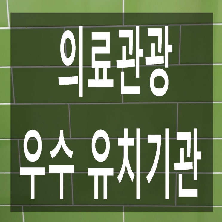  의료관광 우수 유치기관 지정 신청방법과 구비서류
