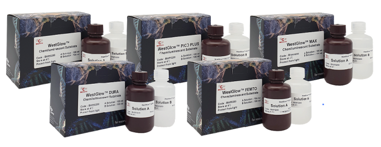  WestGlow Series Chemiluminescent Substrate
