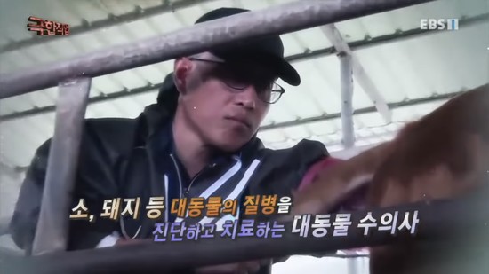 '극한직업 대동물 수의사'를 보며 들었던 생각들