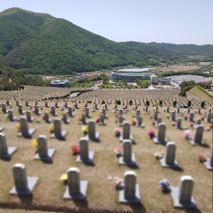  영천 여행 가볼만한곳 - 돌할매 , 호국원, 만불사