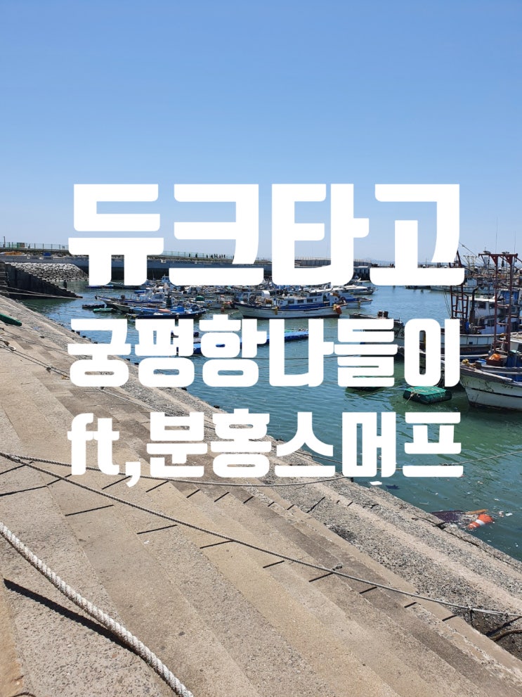  듀크 타고 궁평항 나들이!