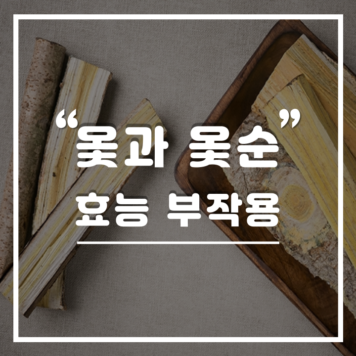  옻과 옻순의 효능 및 부작용 알레르기 대처 방법 : 옻 올랐을때 효과적인 약