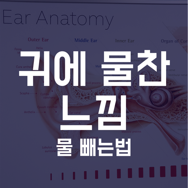  귀에 물찬느낌이 있을 때 어떻게 해야 하나? 귀에 물들어갔을때 물빼는법