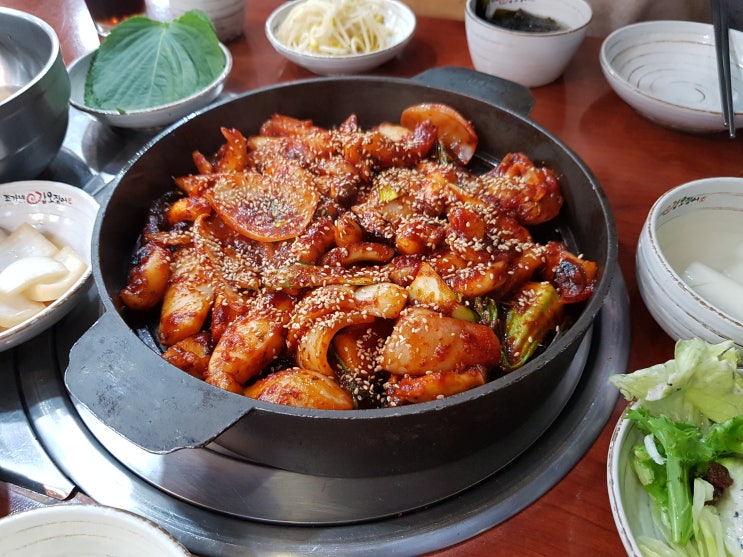  [경기도 광주 맛집] 매콤한 별미 "조가네갑오징어"