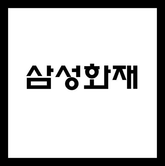  삼성화재 기업분석