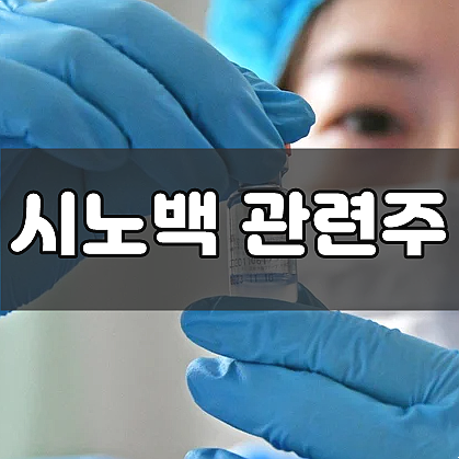  시노백 관련주 주요 3종목 전망 및 투자주의점 (영진약품/아이큐어/진원생명과학 주가)