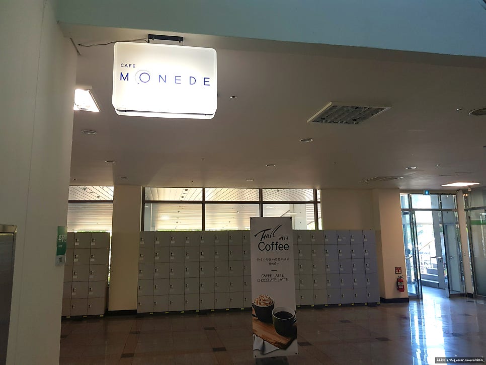 모네드 사진 5