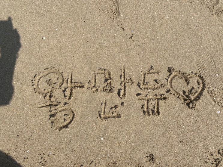  외롭지만 혼자만의 시간을 갖는 건 필수에요! 나만의 혼자만의 시간 즐기기 방법은요?