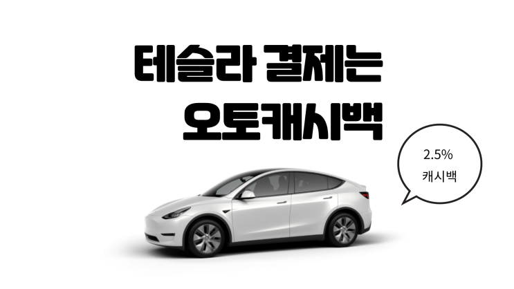  테슬라 결제는 오토 캐시백으로 할인받자