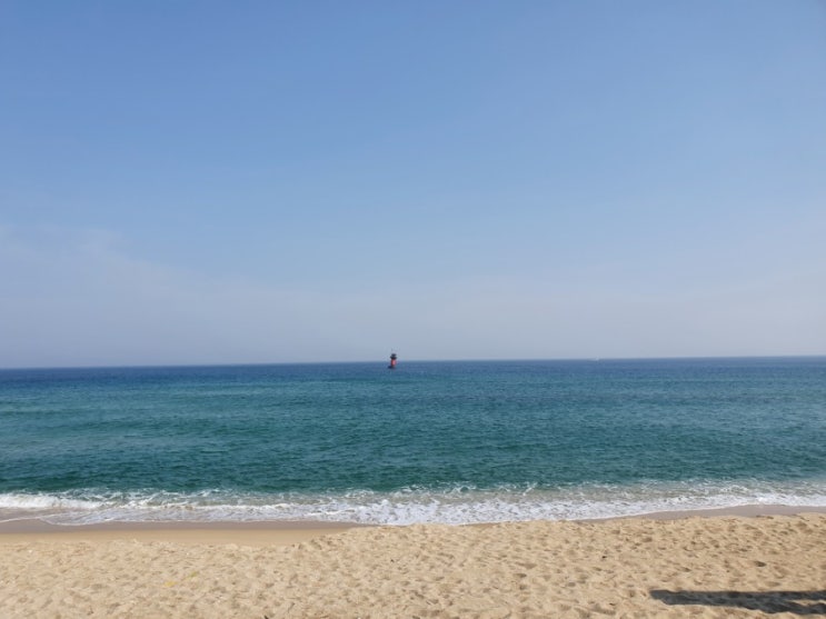  [충주에폭시샌딩] 충주 연수동 상가 에폭시 샌딩 현장