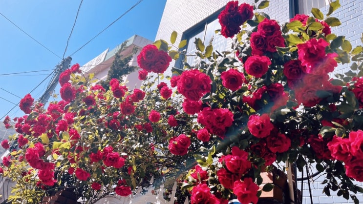  20210511 오늘