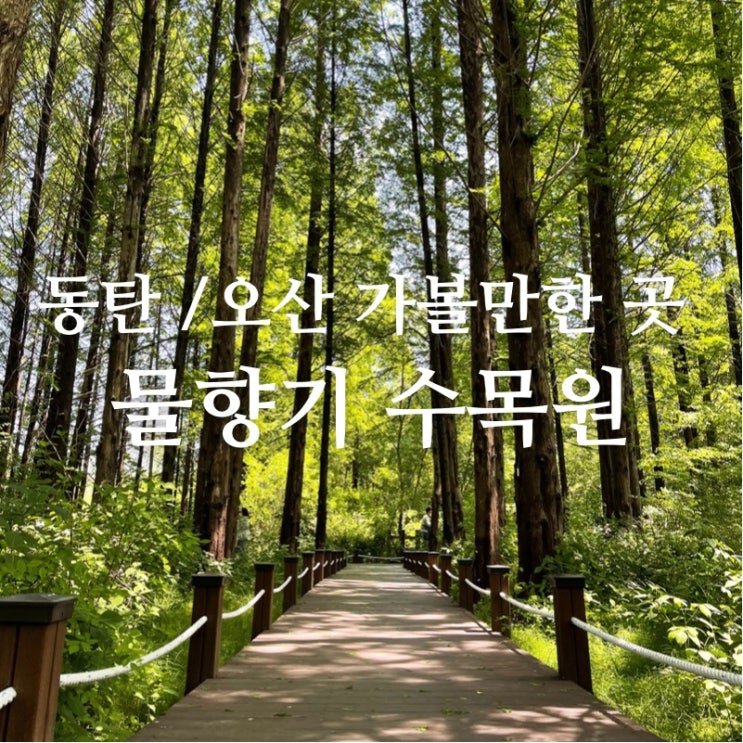  동탄/오산 가볼만한 곳! 물향기 수목원에서 아이와 함께 즐거운 피크닉 후기!