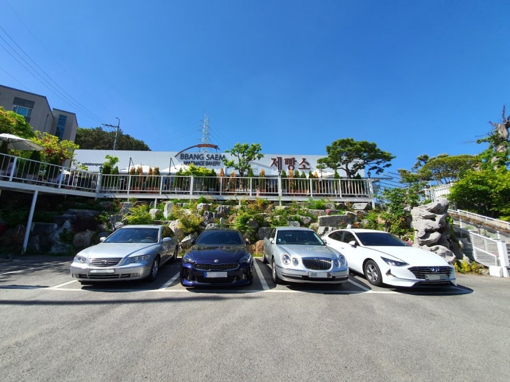 용인 수지 베이커리 카페 빵샘제빵소, 우리 가족 최애 빵집