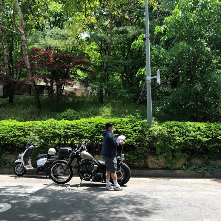 오늘 내 일상 / 북가좌라이프