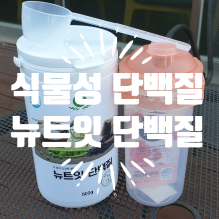  식물성 천연단백질 파우더 뉴트잇 단백질