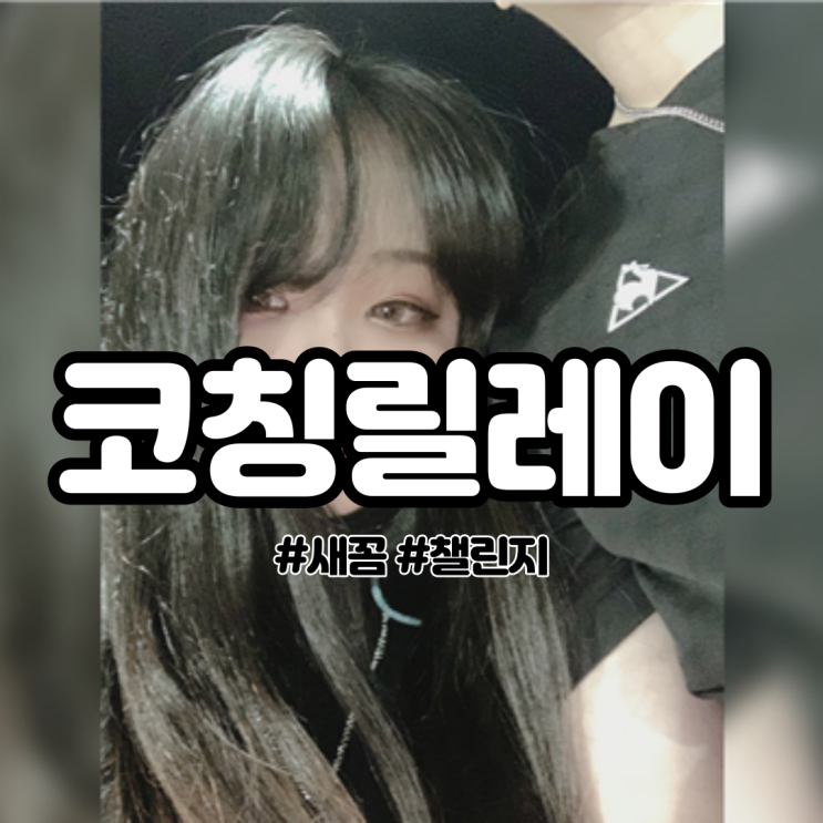  블로그 코칭릴레이 (from . 새꼼)