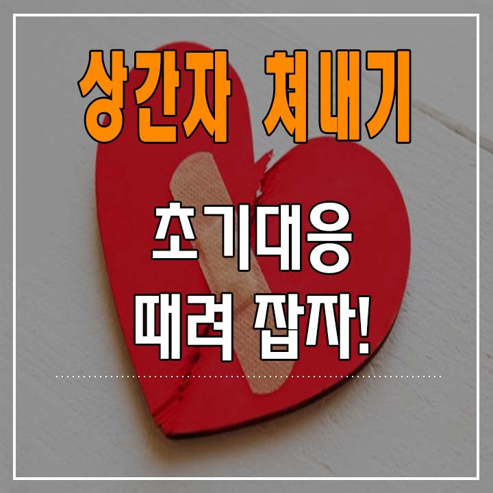  상간자 쳐내기 - 1. 초기에 때려잡자! (폭행!)