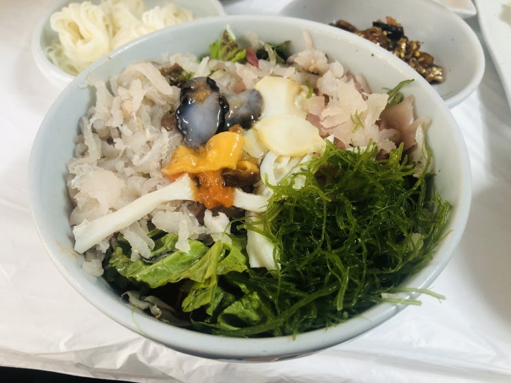  속초 물회 맛집 맛있는녀석들 방영 진양횟집 추천!