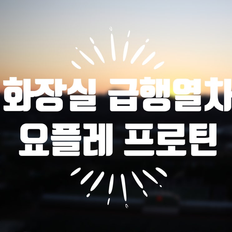  화장실 급행열차 단백질도 챙기는 요플레 프로틴