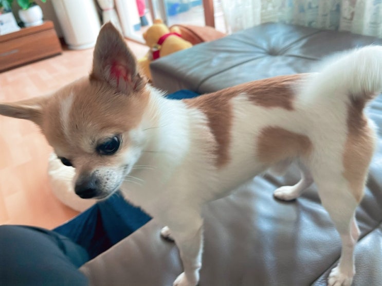  오월의 열두 번째 일기