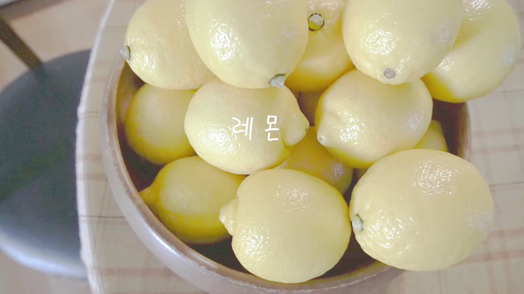  레몬, 레몬청만들기, 레모네이드, 레몬트리