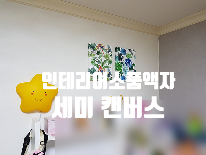 인테리어소품액자 벽걸이액자 추천 세미 캔버스 인테리어소품액자 벽걸이액자 추천 세미 캔버스