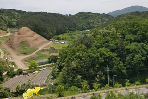 플로센트 이미지