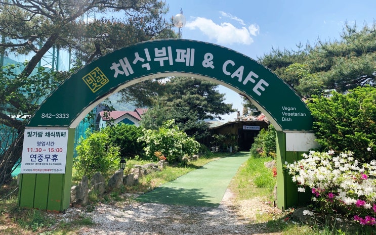  야채를 좋아하는 사람들 여기 모이세요.
