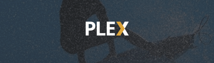 PLEX TV 쇼 라이브러리 관리 및 파일명 정리 방법