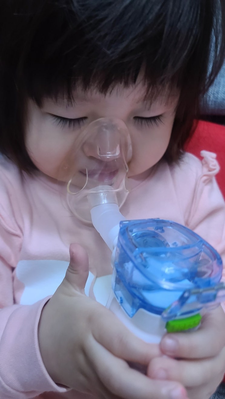  23개월 육아일기 반복되는 하루 좋아지는 콧물