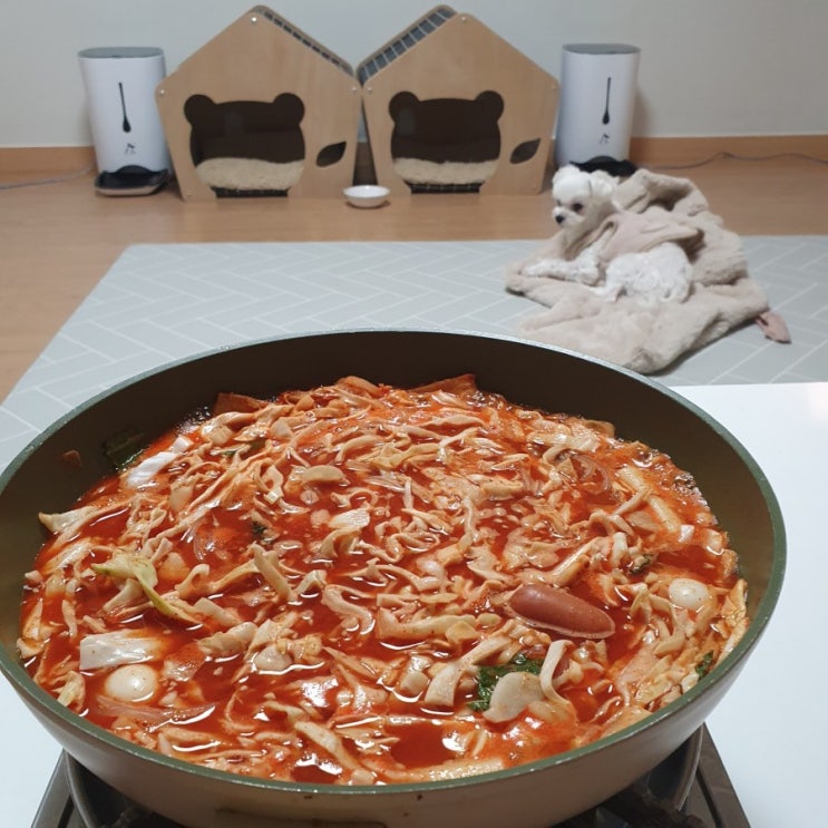 성남, 수진역 즉석떡볶이 - 분식마을