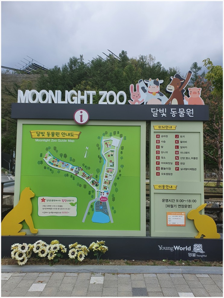 영월 동물원 아이와 가볼만한 곳- 펫힐링 달빛동물원 동물체험하러 오세요.
