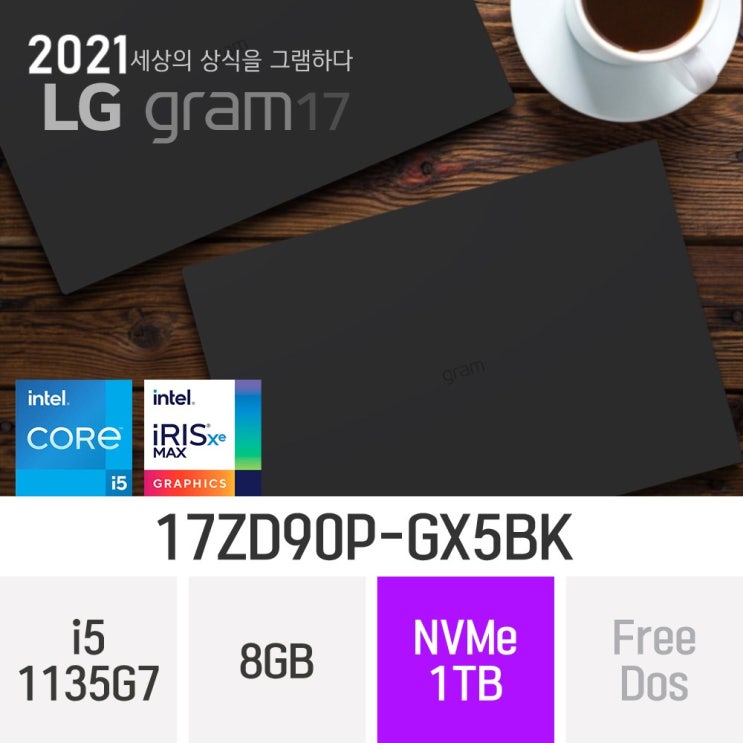 가성비 좋은 LG 2021 그램17 17ZD90P-GX5BK, 8GB, 1TB, 윈도우 미포함 좋아요
