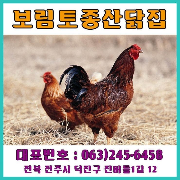 토종산닭집 사진 2