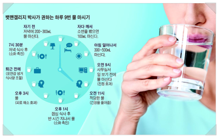  입덧의 원인은 탈수 신호? feat. 물, 치료의 핵심  인트로