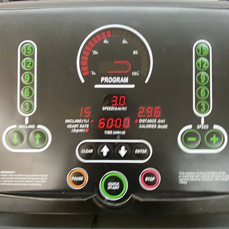  디니의 열번째 기록