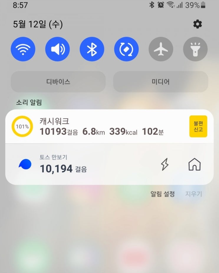  만보걷기D+15