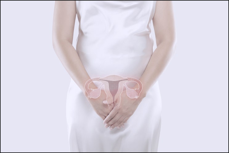  자궁내막증 증상?섣부르게 두려워하지않으셔도 됩니다