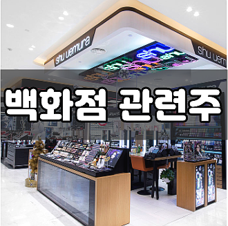  백화점 관련주 투자 접근 방법의 변화 (현대백화점/대구백화점/베뉴지 주가)