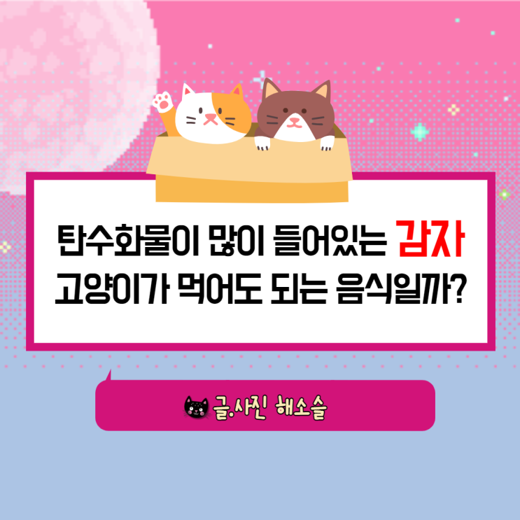  탄수화물이 많이 들어있는 감자, 고양이가 먹어도 되는 음식일까?