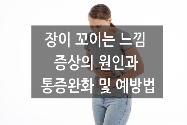  장이 꼬이는 느낌 증상의 원인과 통증완화 및 예방법