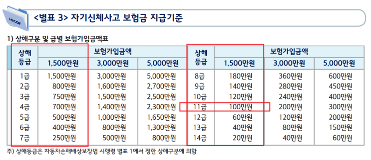 자동차 사고, 자동차보험 보장 한도 소진 후 건강보험 적용+본인 부담 의료비 실손보험 청구 사례