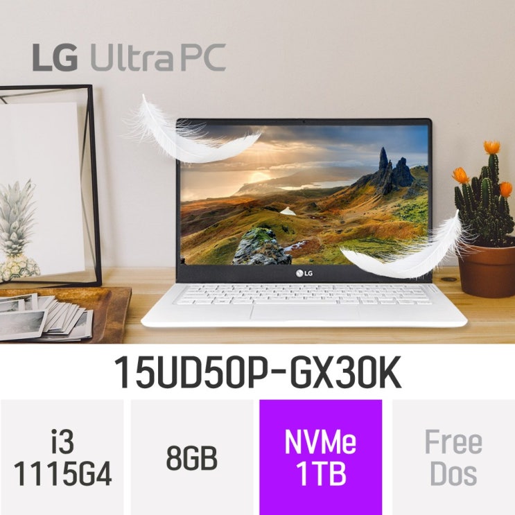 선택고민 해결 LG 2021 울트라PC 15UD50P-GX30K, 8GB, 1TB, 윈도우 미포함 추천해요