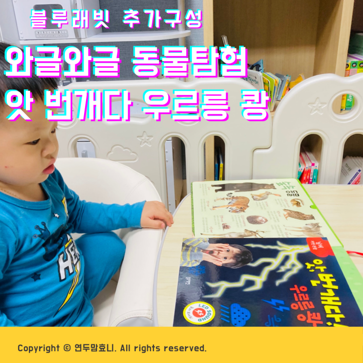 와글와글 동물탐험, 앗 번개다 우르릉 쾅, 돌아기 책 추천 와글와글 동물탐험, 앗 번개다 우르릉 쾅, 돌아기 책 추천