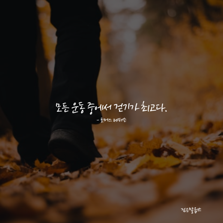  매일 만보걷기 챌린지 (걷기 명언 10가지)