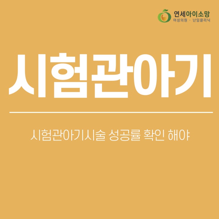  시험관아기시술 성공률 확인 해야